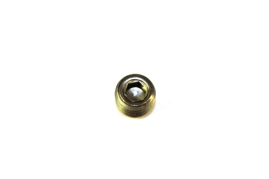 Fitting-1/8" S/S Allen Head Plug