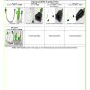 Olympus Adapter Identification Chart